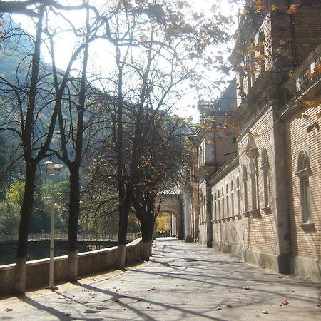 Hotel Pensiunea Floare De Colt Băile Herculane Zewnętrze zdjęcie