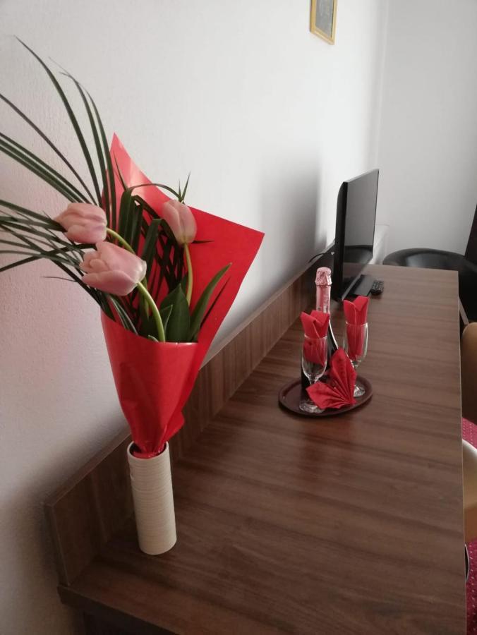 Hotel Pensiunea Floare De Colt Băile Herculane Zewnętrze zdjęcie