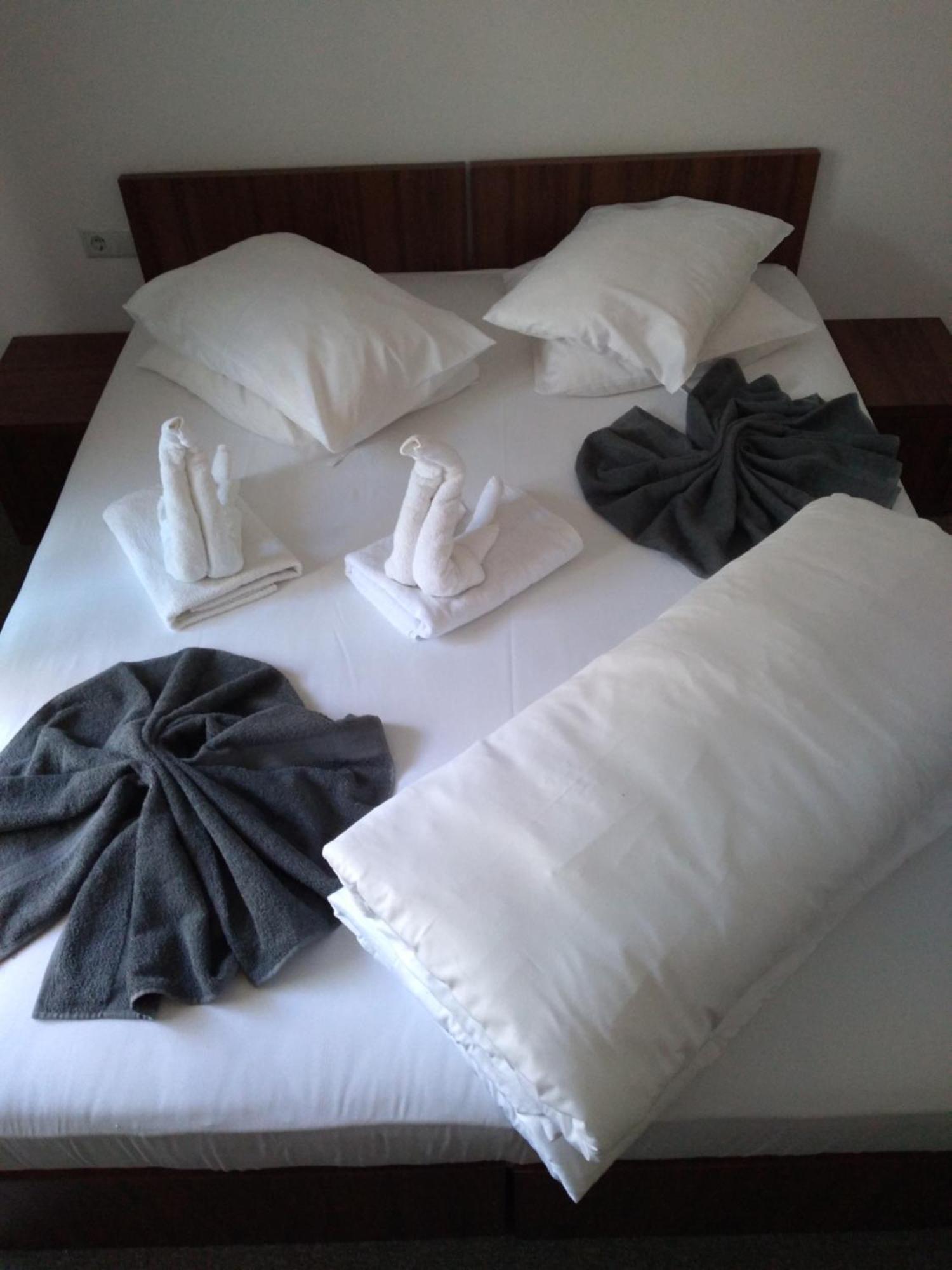Hotel Pensiunea Floare De Colt Băile Herculane Pokój zdjęcie