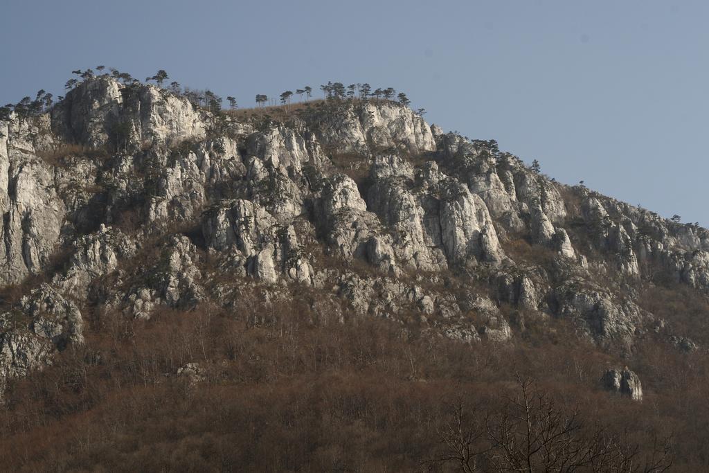 Hotel Pensiunea Floare De Colt Băile Herculane Zewnętrze zdjęcie