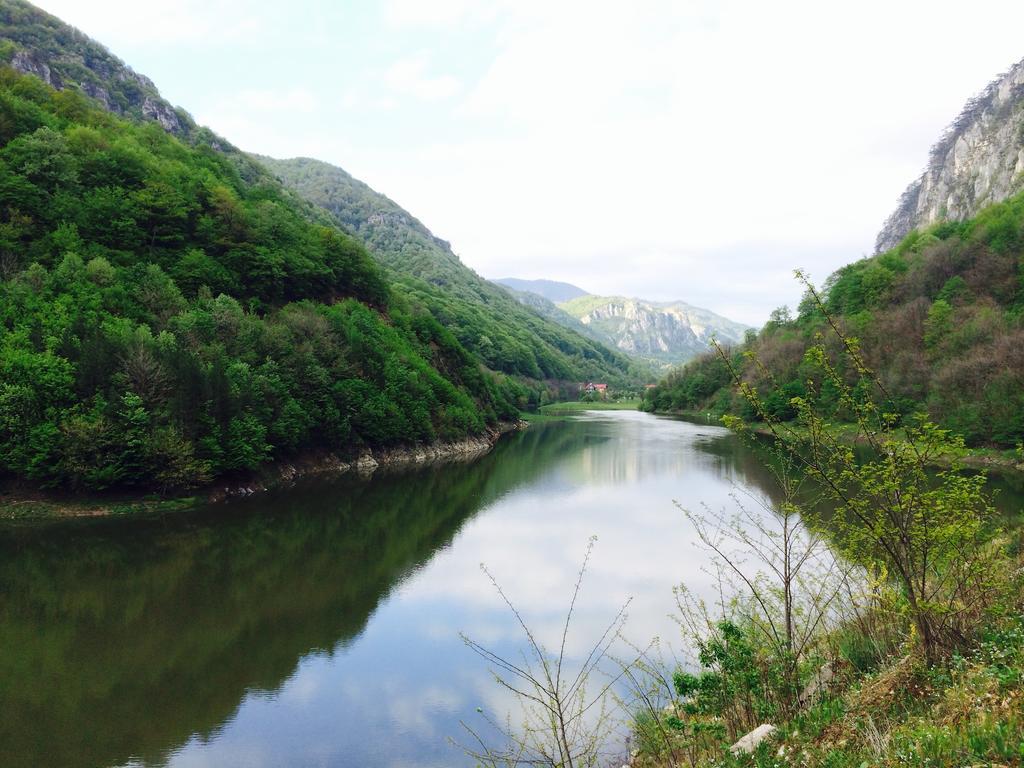 Hotel Pensiunea Floare De Colt Băile Herculane Zewnętrze zdjęcie