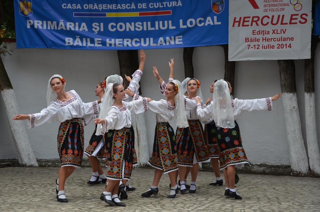 Hotel Pensiunea Floare De Colt Băile Herculane Zewnętrze zdjęcie